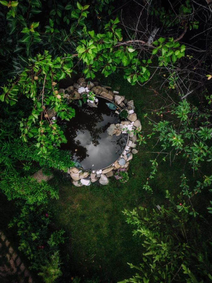 Casuta De Sub Deal - Ciubar Si Piscina Villa Magura  Dış mekan fotoğraf